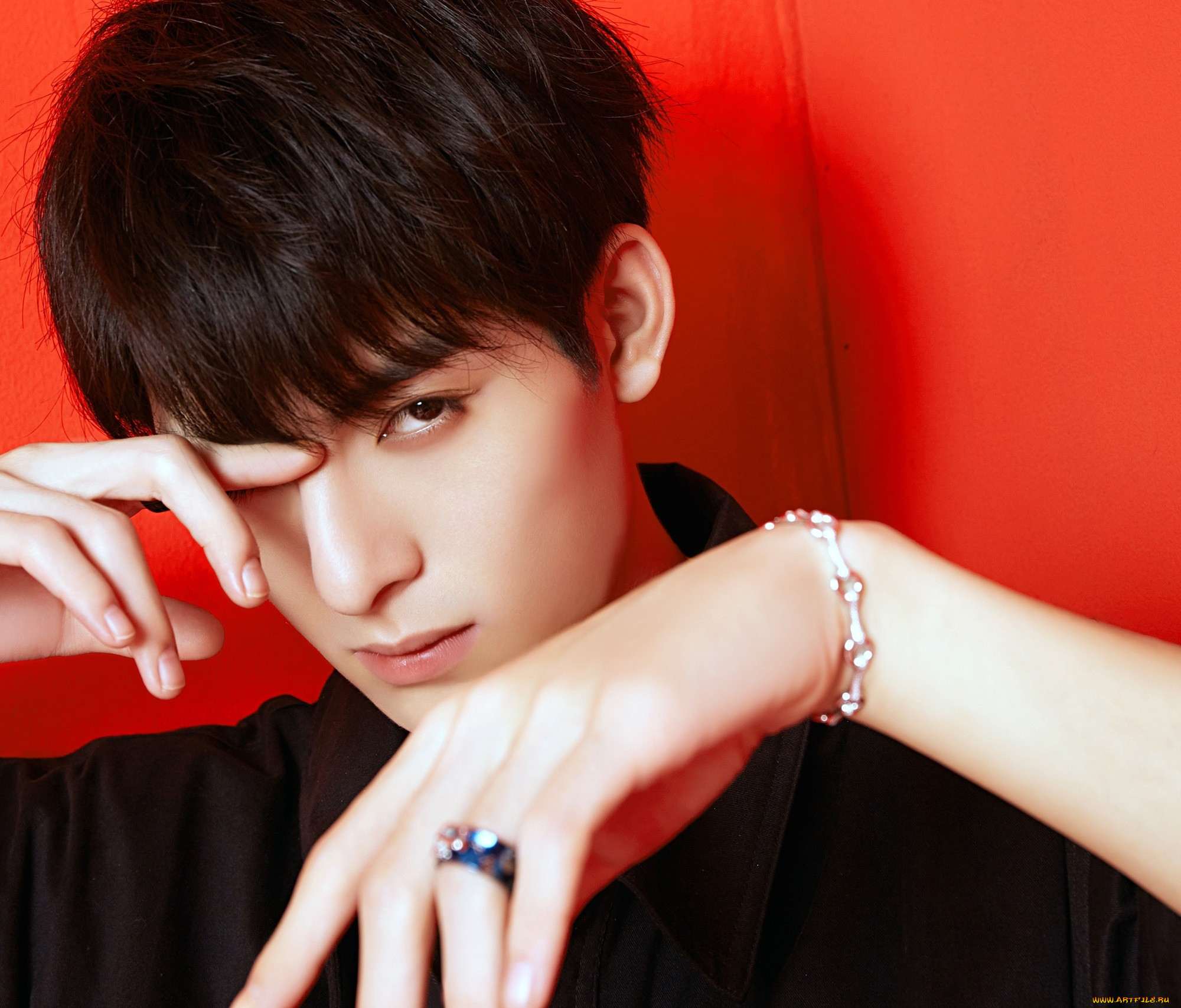 �������, wang hao xuan, ���, ���, �����